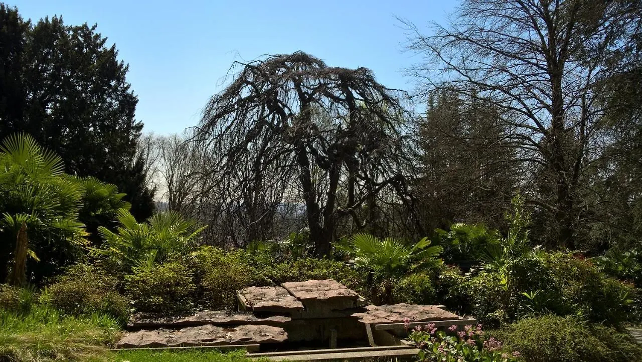 Villa Magnolia Lago Maggiore Besozzo